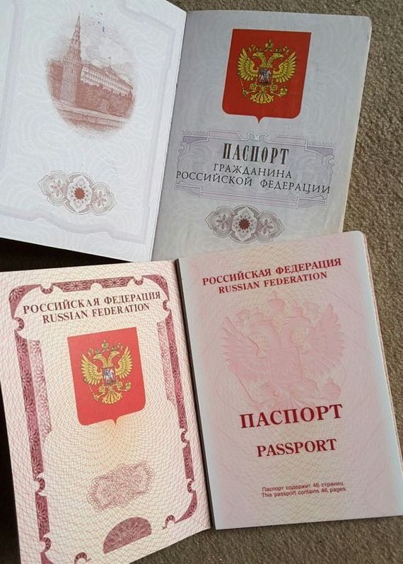 прописка в Шебекино